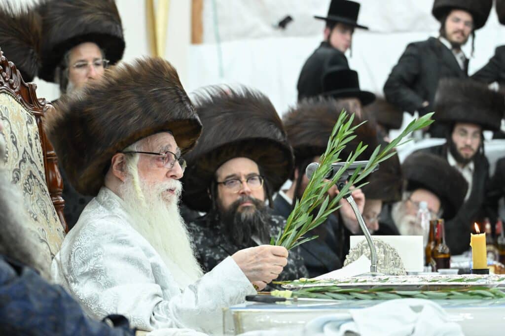 הנחת הסכך ועד והנענועים בלולב: גלריה מחג הסוכות בצאנז הנחת הסכך ועד והנענועים בלולב: גלריה מחג הסוכות בצאנז