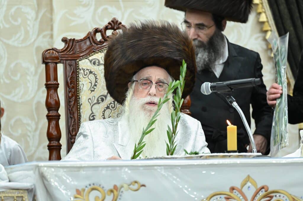 הנחת הסכך ועד והנענועים בלולב: גלריה מחג הסוכות בצאנז הנחת הסכך ועד והנענועים בלולב: גלריה מחג הסוכות בצאנז