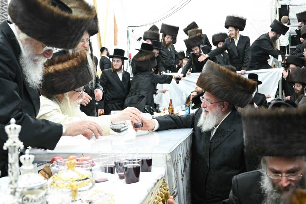 הנחת הסכך ועד והנענועים בלולב: גלריה מחג הסוכות בצאנז הנחת הסכך ועד והנענועים בלולב: גלריה מחג הסוכות בצאנז