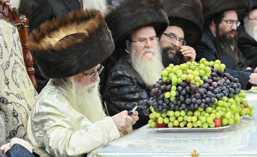 הנחת הסכך ועד והנענועים בלולב: גלריה מחג הסוכות בצאנז הנחת הסכך ועד והנענועים בלולב: גלריה מחג הסוכות בצאנז