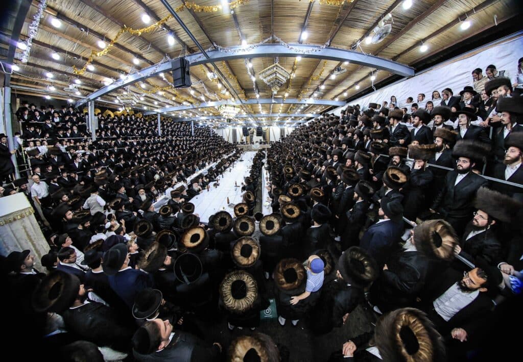 הנחת הסכך ועד והנענועים בלולב: גלריה מחג הסוכות בצאנז הנחת הסכך ועד והנענועים בלולב: גלריה מחג הסוכות בצאנז