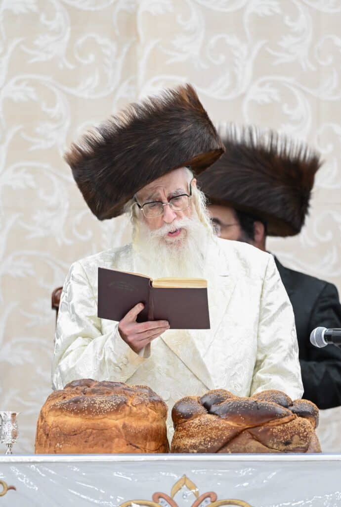 הנחת הסכך ועד והנענועים בלולב: גלריה מחג הסוכות בצאנז הנחת הסכך ועד והנענועים בלולב: גלריה מחג הסוכות בצאנז