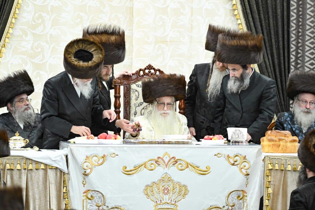 הנחת הסכך ועד והנענועים בלולב: גלריה מחג הסוכות בצאנז הנחת הסכך ועד והנענועים בלולב: גלריה מחג הסוכות בצאנז