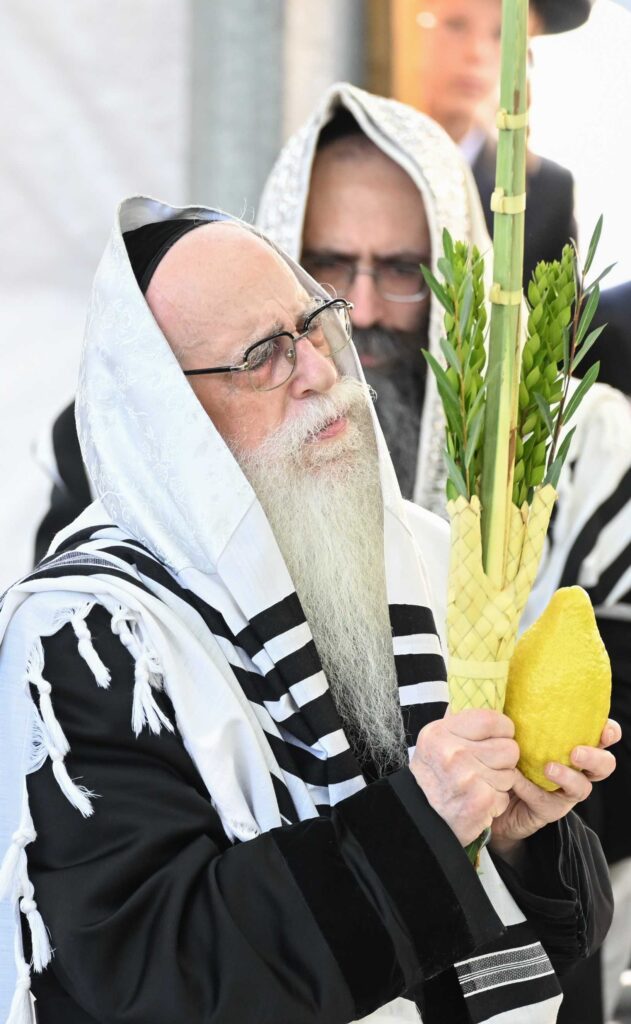 הנחת הסכך ועד והנענועים בלולב: גלריה מחג הסוכות בצאנז הנחת הסכך ועד והנענועים בלולב: גלריה מחג הסוכות בצאנז
