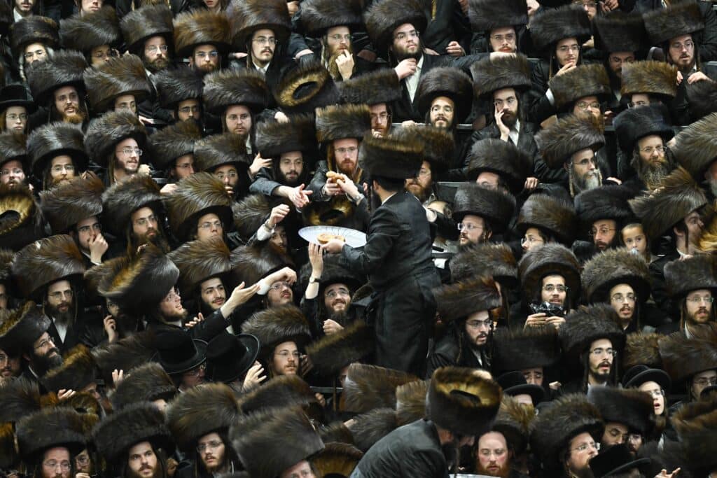 הנחת הסכך ועד והנענועים בלולב: גלריה מחג הסוכות בצאנז הנחת הסכך ועד והנענועים בלולב: גלריה מחג הסוכות בצאנז