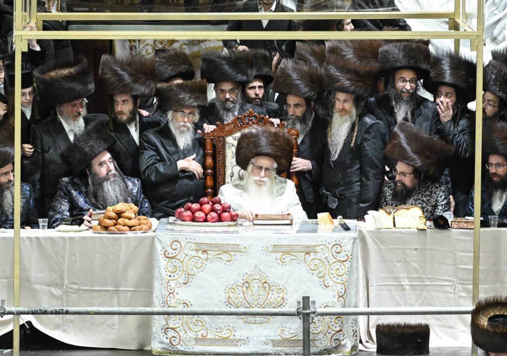 הנחת הסכך ועד והנענועים בלולב: גלריה מחג הסוכות בצאנז הנחת הסכך ועד והנענועים בלולב: גלריה מחג הסוכות בצאנז