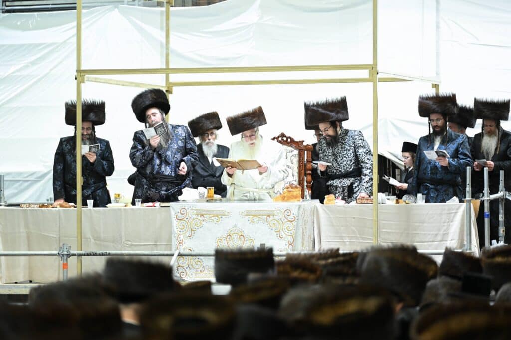 הנחת הסכך ועד והנענועים בלולב: גלריה מחג הסוכות בצאנז הנחת הסכך ועד והנענועים בלולב: גלריה מחג הסוכות בצאנז