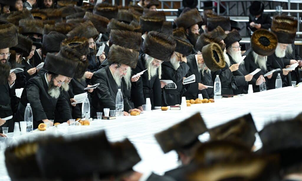 הנחת הסכך ועד והנענועים בלולב: גלריה מחג הסוכות בצאנז הנחת הסכך ועד והנענועים בלולב: גלריה מחג הסוכות בצאנז