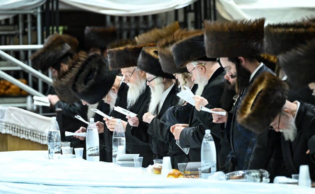הנחת הסכך ועד והנענועים בלולב: גלריה מחג הסוכות בצאנז הנחת הסכך ועד והנענועים בלולב: גלריה מחג הסוכות בצאנז