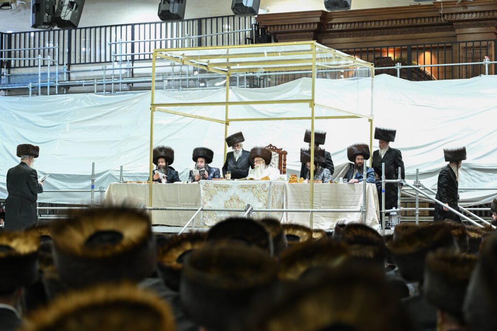 הנחת הסכך ועד והנענועים בלולב: גלריה מחג הסוכות בצאנז הנחת הסכך ועד והנענועים בלולב: גלריה מחג הסוכות בצאנז