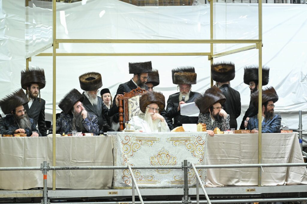 הנחת הסכך ועד והנענועים בלולב: גלריה מחג הסוכות בצאנז הנחת הסכך ועד והנענועים בלולב: גלריה מחג הסוכות בצאנז