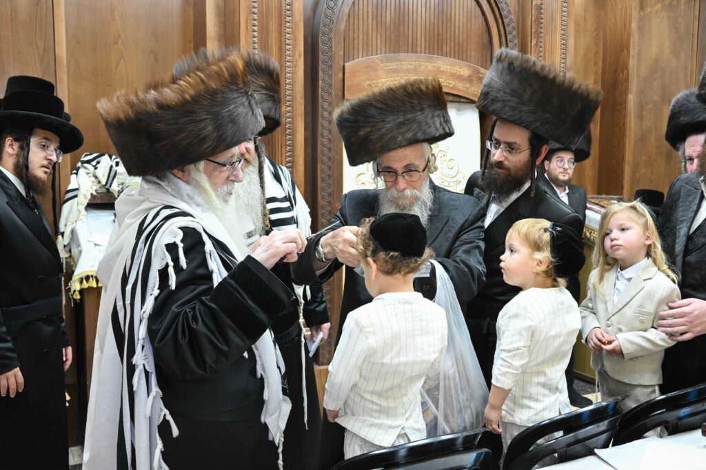 הנחת הסכך ועד והנענועים בלולב: גלריה מחג הסוכות בצאנז הנחת הסכך ועד והנענועים בלולב: גלריה מחג הסוכות בצאנז