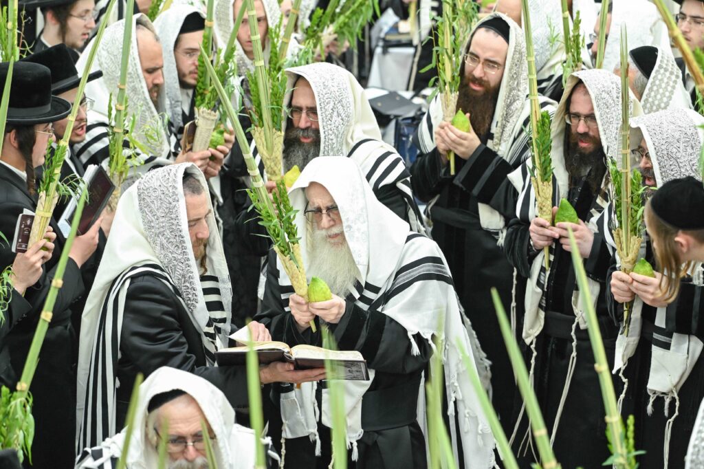 הנחת הסכך ועד והנענועים בלולב: גלריה מחג הסוכות בצאנז הנחת הסכך ועד והנענועים בלולב: גלריה מחג הסוכות בצאנז