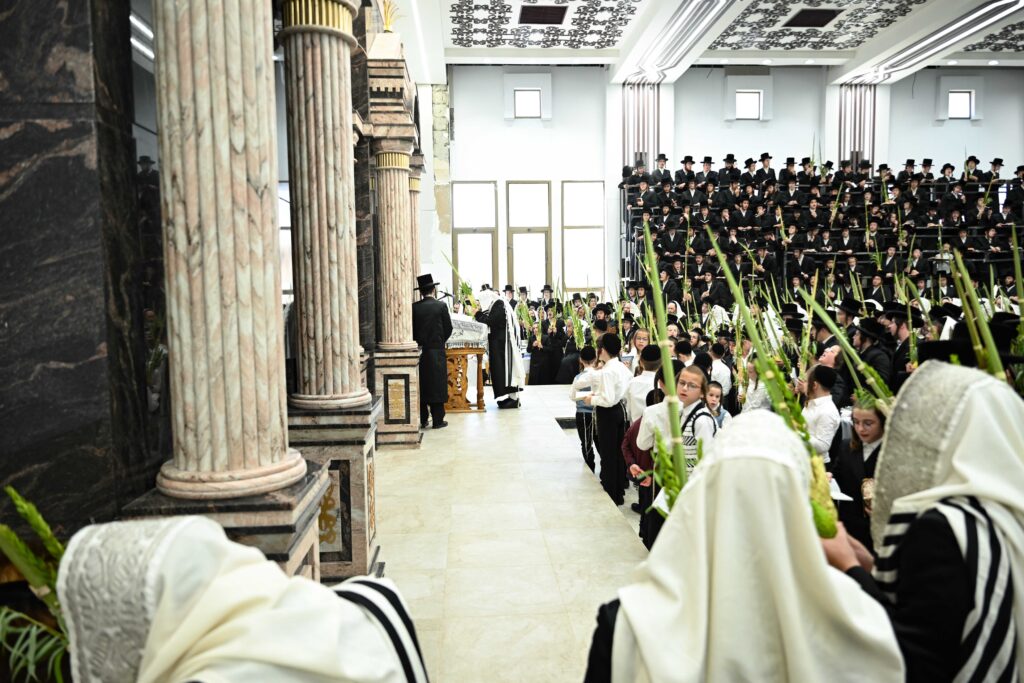 הנחת הסכך ועד והנענועים בלולב: גלריה מחג הסוכות בצאנז הנחת הסכך ועד והנענועים בלולב: גלריה מחג הסוכות בצאנז