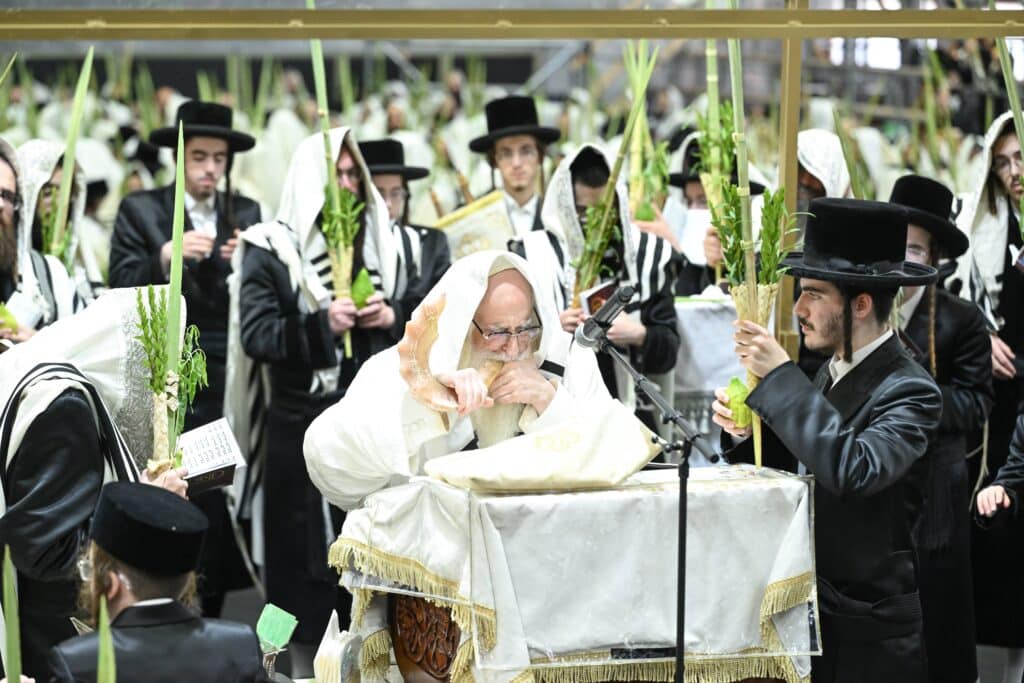 הנחת הסכך ועד והנענועים בלולב: גלריה מחג הסוכות בצאנז הנחת הסכך ועד והנענועים בלולב: גלריה מחג הסוכות בצאנז