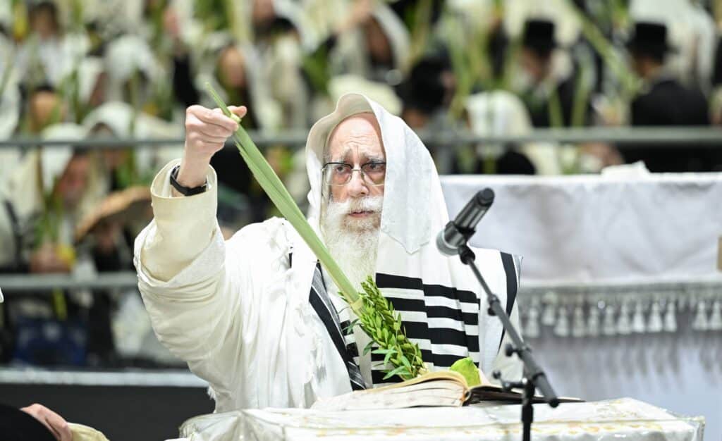 הנחת הסכך ועד והנענועים בלולב: גלריה מחג הסוכות בצאנז הנחת הסכך ועד והנענועים בלולב: גלריה מחג הסוכות בצאנז