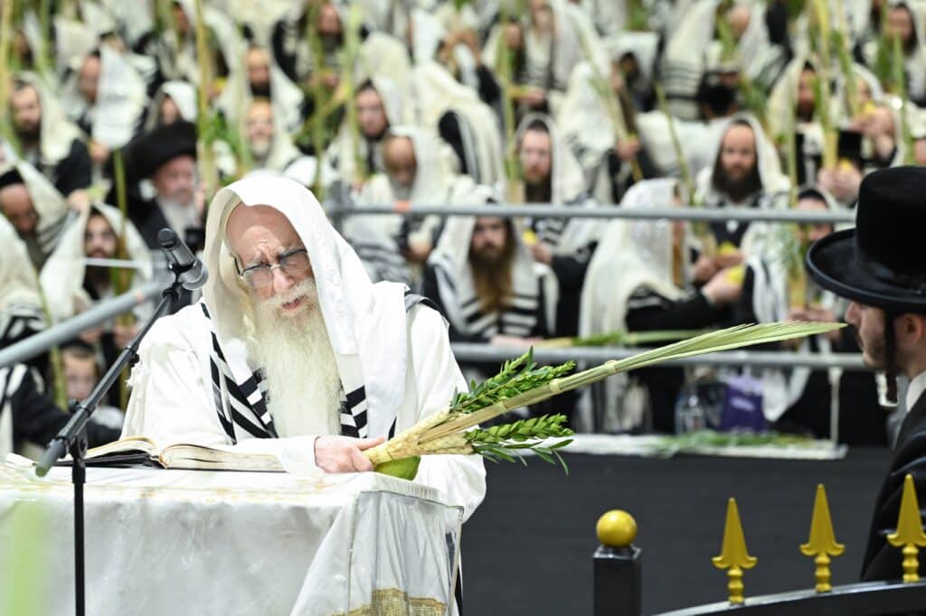 הנחת הסכך ועד והנענועים בלולב: גלריה מחג הסוכות בצאנז הנחת הסכך ועד והנענועים בלולב: גלריה מחג הסוכות בצאנז