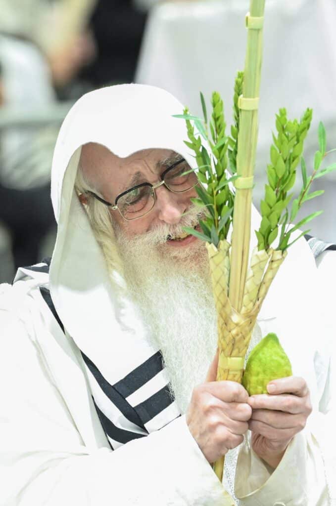 הנחת הסכך ועד והנענועים בלולב: גלריה מחג הסוכות בצאנז הנחת הסכך ועד והנענועים בלולב: גלריה מחג הסוכות בצאנז