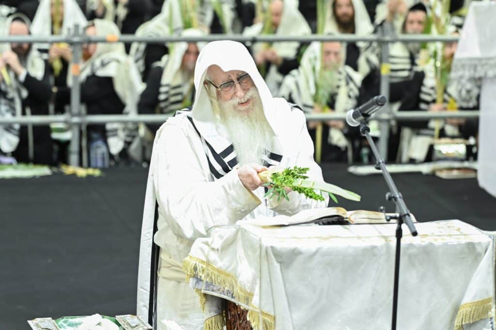 הנחת הסכך ועד והנענועים בלולב: גלריה מחג הסוכות בצאנז הנחת הסכך ועד והנענועים בלולב: גלריה מחג הסוכות בצאנז