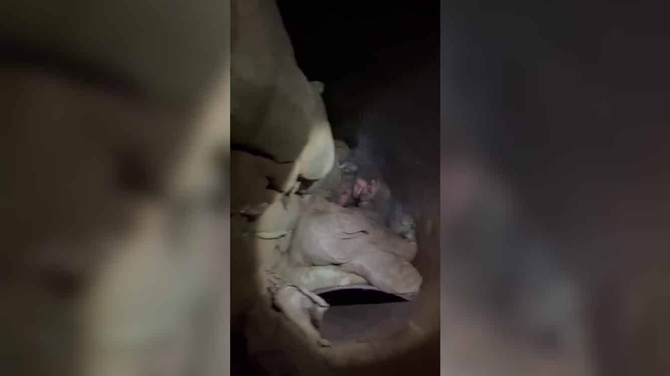 בתוך צינור גז: תיעוד לכידת חיילים רוסים באזור קופיאנסק