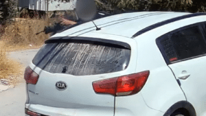 תועד יורה באמצע הרחוב וברח: לוחמי הימ"מ עצרו את הפלסטיני