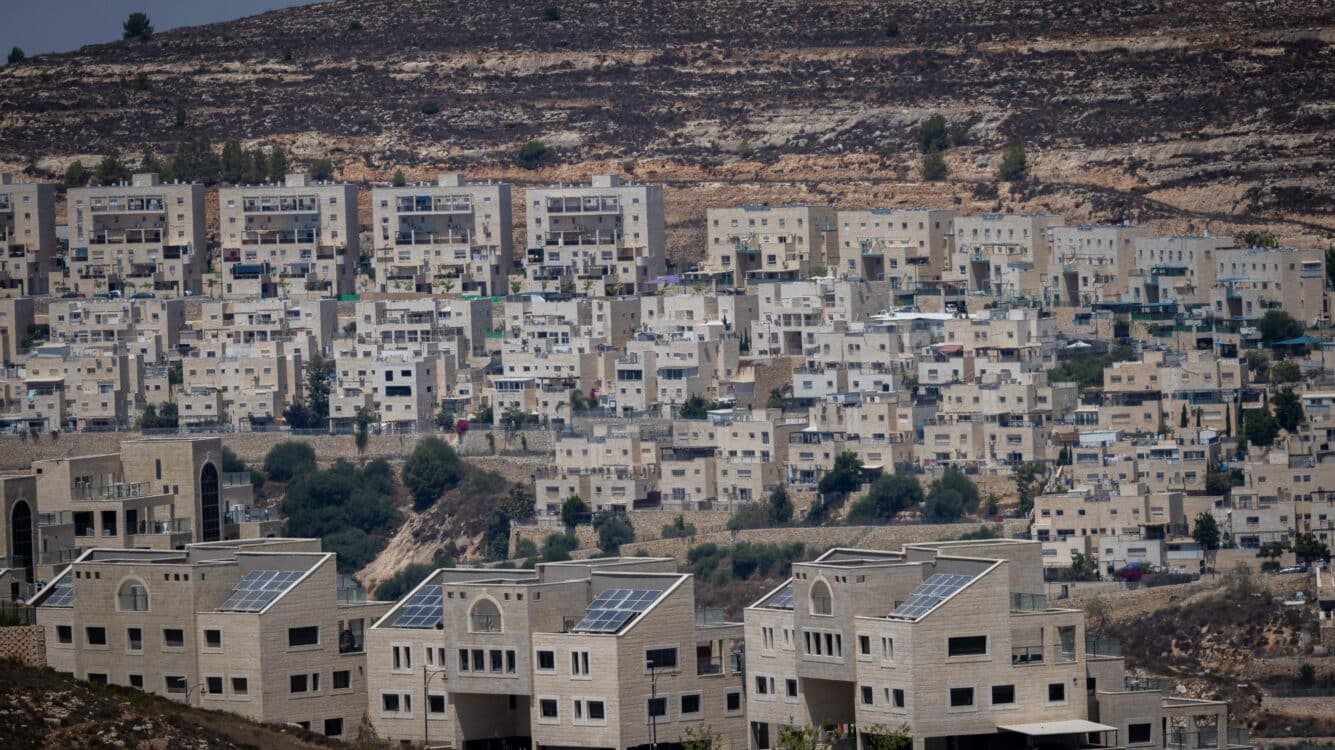 אחרי שנה של שקט: המפגע הסביבתי שחוזר להטריד את גבעת זאב
