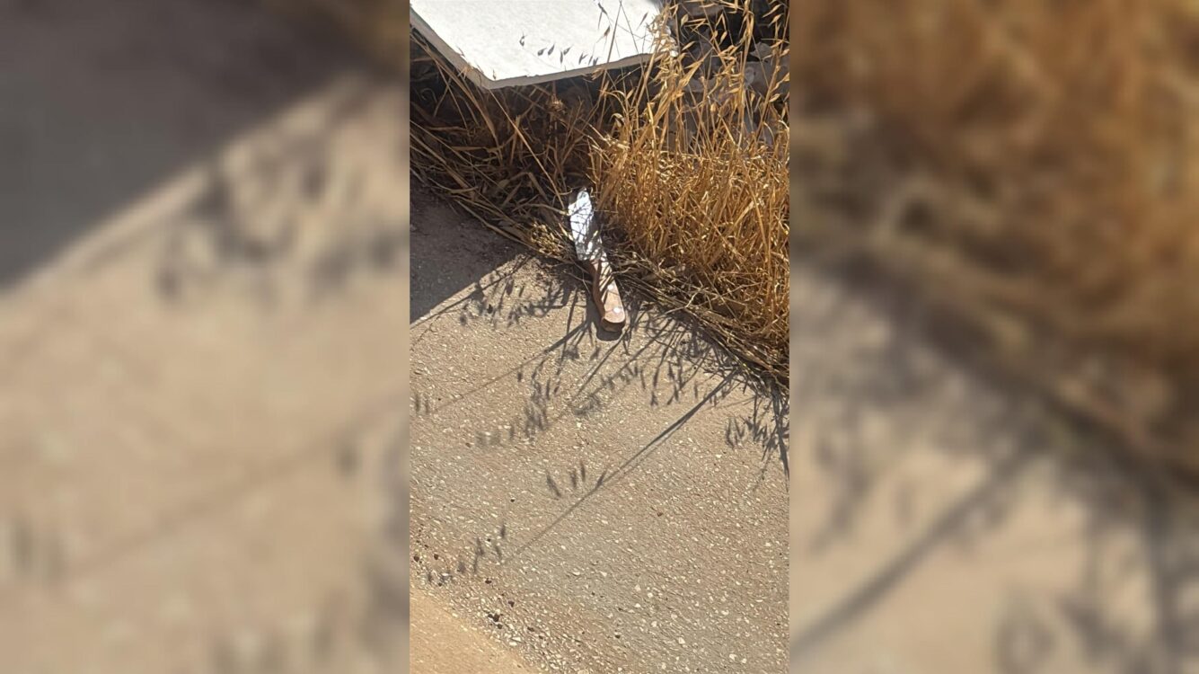 אחרי ניסיון הפיגוע בבנימין: כוחות צה"ל מכתרים את האזור