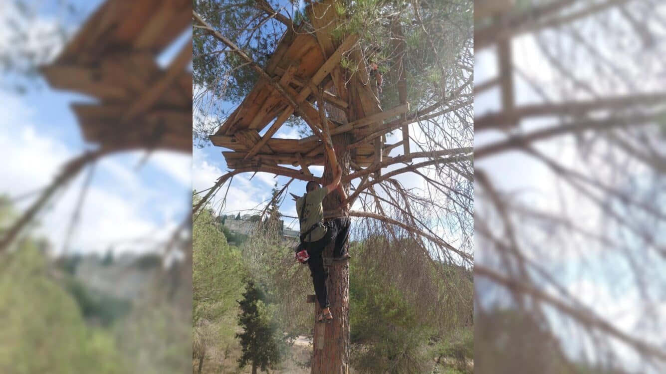 חודשיים ללא עקבות: החיפושים אחר יהודה ספרקה מתרחבים