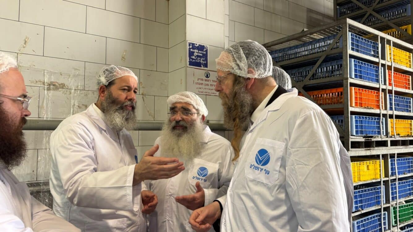 מהפכת הכשרות: גדולי הפוסקים בדקו מקרוב את השחיטה החדשה