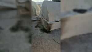 זעזוע קשה בשומרון: ערבים הציתו את קבר אלעזר הכהן