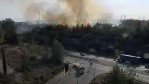 שריפת ענק משתוללת ביער בן שמן: 400 מטיילים פונו - כביש 444 נסגר