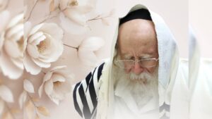 84 יתומים ויתומות במצוקה כלכלית מתחתנים בחודש חשוון
