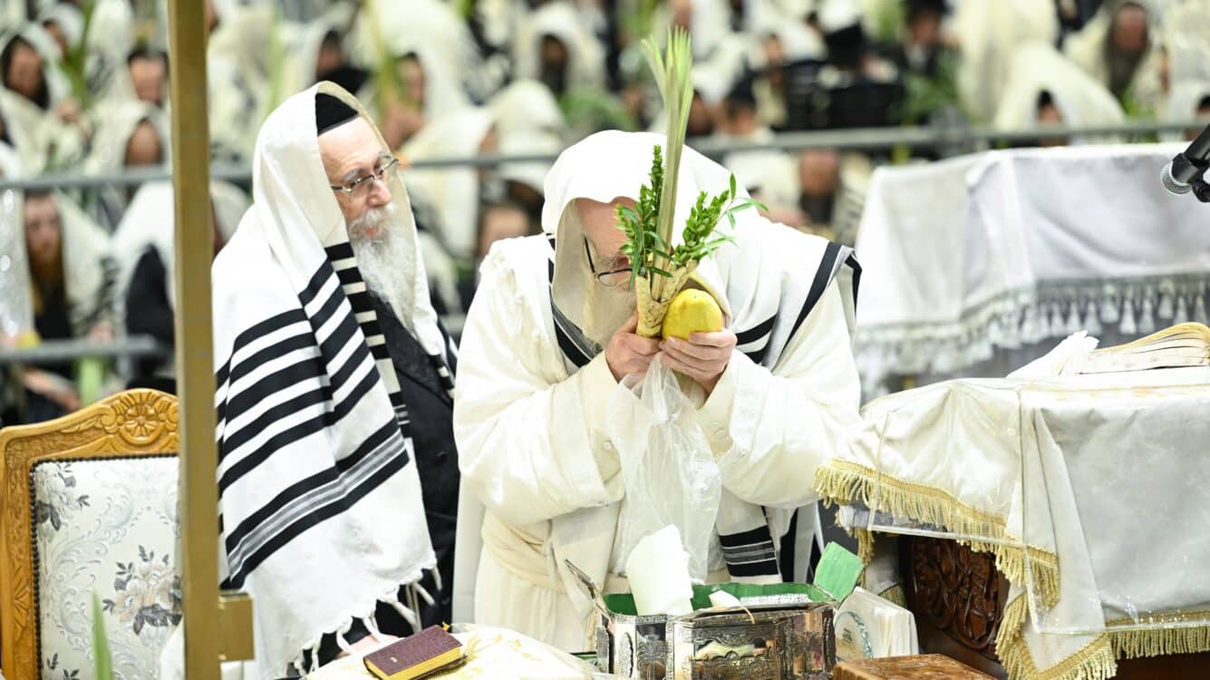 הנחת הסכך ועד והנענועים בלולב: גלריה מחג הסוכות בצאנז
