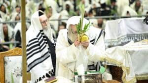 הנחת הסכך ועד הנענועים בלולב: גלריה מחג הסוכות בצאנז