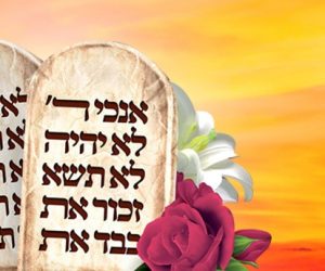 בלי הבדלי מגזרים