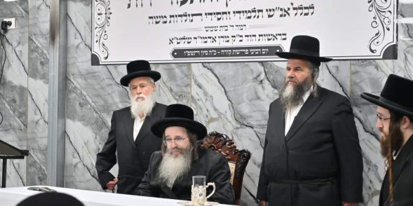 צילום : יהושע פרוכטר