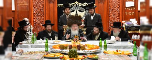 צילום: יוסי לוי