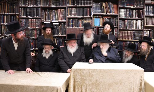 צילום: שמואל דריי