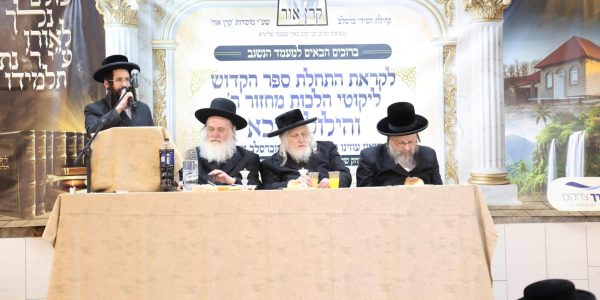 צילום: שמואל דריי‎