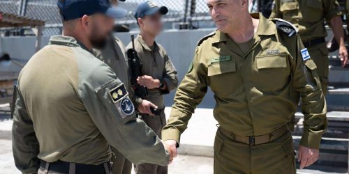 קרדיט: דו"צ