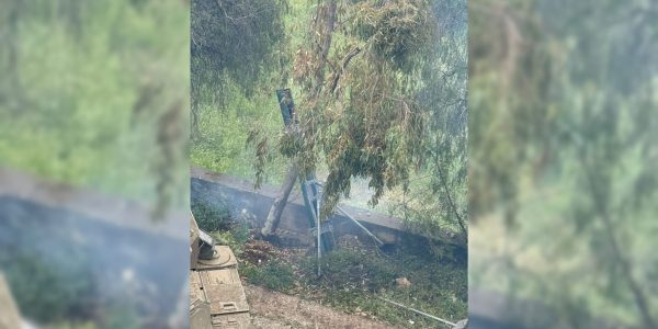צילום: דו"צ