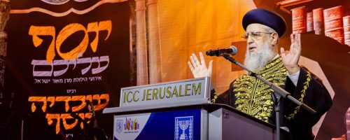 צילום: מנדי טויטו