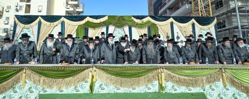 צילום: משה גולדשטיין