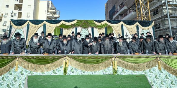 צילום: משה גולדשטיין