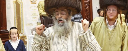 צילום: יעקב לדרמן