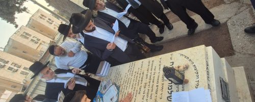 צילום: אלנתן אלוני