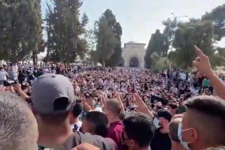 12 אלף בהר הבית