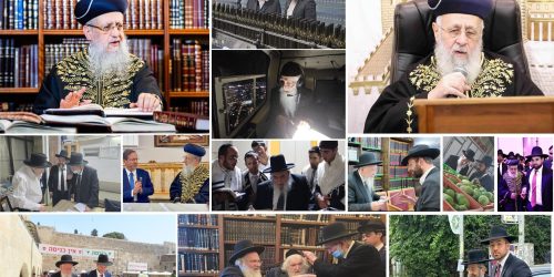 צילומים: יעקב כהן, דוד ארזני, מנדי טויטו ובאדיבות המצלמים