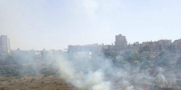 צילום: דוברות כבאות והצלה