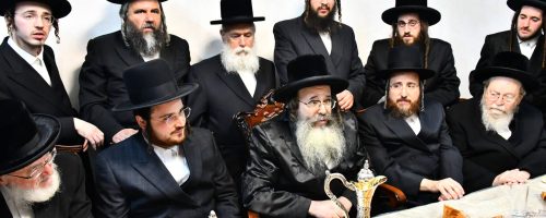 הרבי מתולדות משה - צילום: שוקי לרר